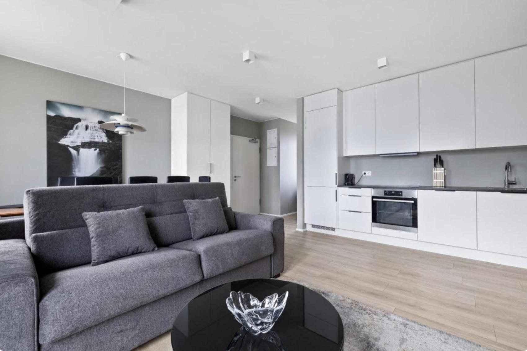 Cheerful Down Town Apartment Рейкявик Екстериор снимка